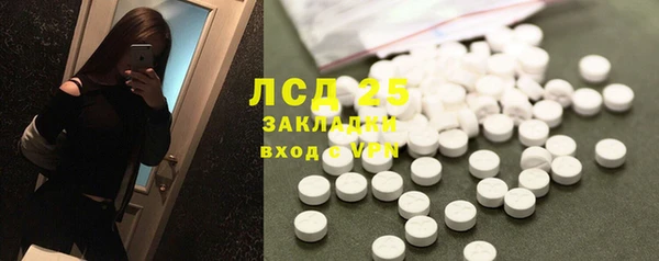 прущие грибы Беломорск