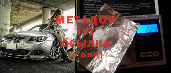 прущие грибы Беломорск